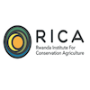 Director of Communications at Rwanda Institute for Conservation Agriculture (RICA)