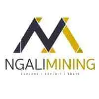 Gemologist at Ngali Mining
