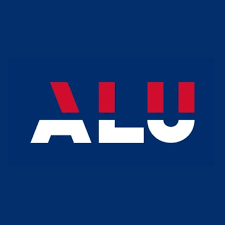 IT Support Intern at African Leadership University
