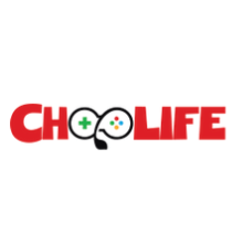 Financial Accountant at Choplife IP