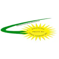 Cashiers at Financial Safety Company PLC