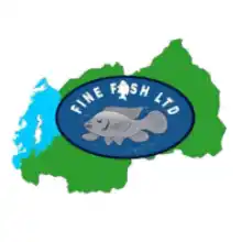 Accountants at Fine Fish Ltd