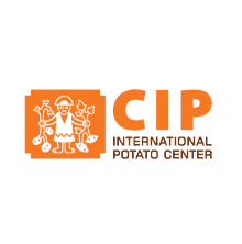 Project Analyst at International Potato Center