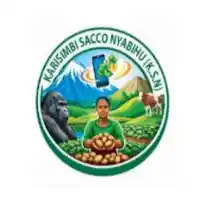 Senior Risk and Compliance Officer at Karisimbi Sacco Nyabihu