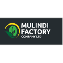 Tea Plantation Agronomist at Mulindi Factory Company Limited