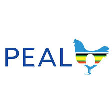 Corporate Manager at Poultry East Africa Ltd