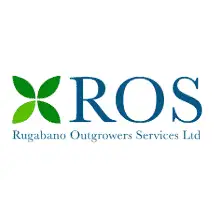 Assistant Logistics Coordinator at Rugabano Outgrowers Services Ltd
