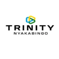 Maintenance Planner at Trinity Nyakabingo Mines Ltd