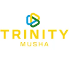 Shift Electrical Supervisor at Trinity Musha Mines Ltd