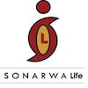 1 Officer for Strategy and Business Analytics at SONARWA Life Assurance Company Limited