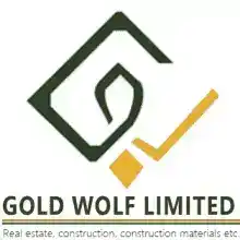 Executive Business Interpreter (English–French) at Gold Wolf Ltd
