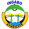  Accountant at  INGABO Syndicate