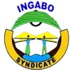 Accountant at INGABO Syndicate