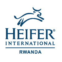  Supply and Delivery of Office Laptops and Printers at Heifer International Rwanda