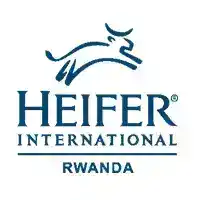 Supply and Delivery of Motorcycles for CAVES at Heifer International Rwanda