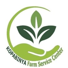  Field Market Facilitators/FMFs at KOPABINYA Farm Service Centre