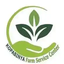 Field Extension Coordinator at KOPABINYA Farm Service Centre