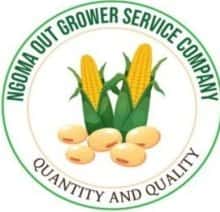 Post-Harvest And Marketing Officer at Ngoma Outgrower Service Company Ltd