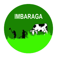 Horticulture Youth Agri-preneurship Officer at Imbaraga Farmers Organization