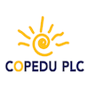  Provision of Motors insurance at COPEDU PLC