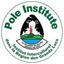 Assistant Financier at Pole Institute