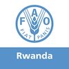  FAO Internship Program 2023 at Food and Agriculture Organization