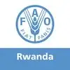 FAO Internship Program 2023 at Food and Agriculture Organization